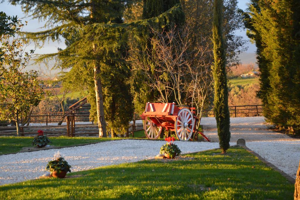 Agriturismo La Collina Pitigliano Cameră foto