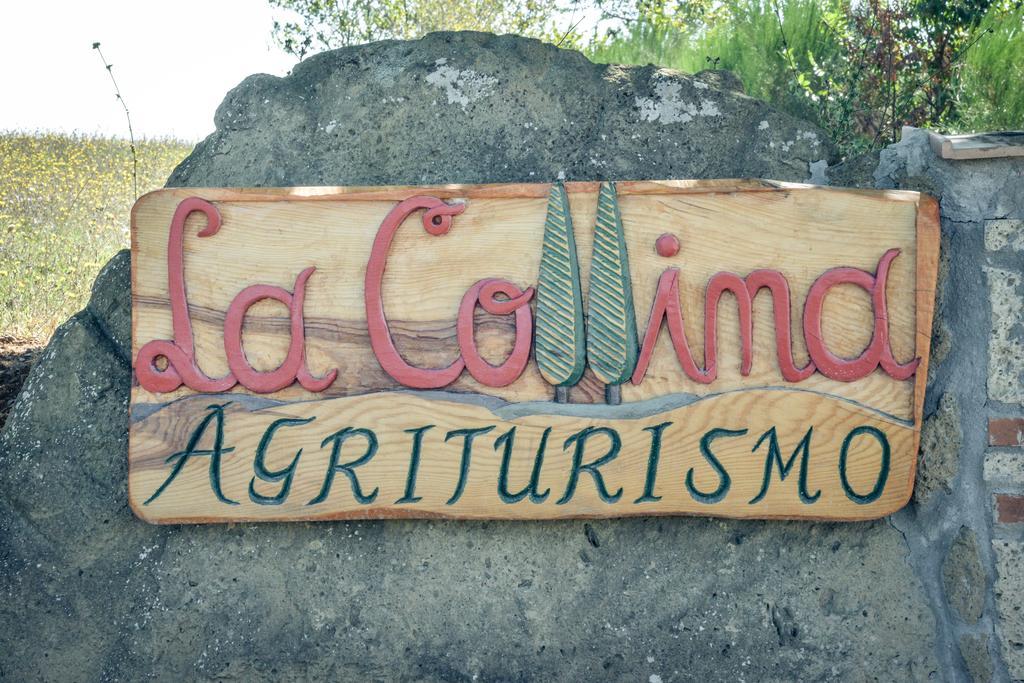 Agriturismo La Collina Pitigliano Exterior foto